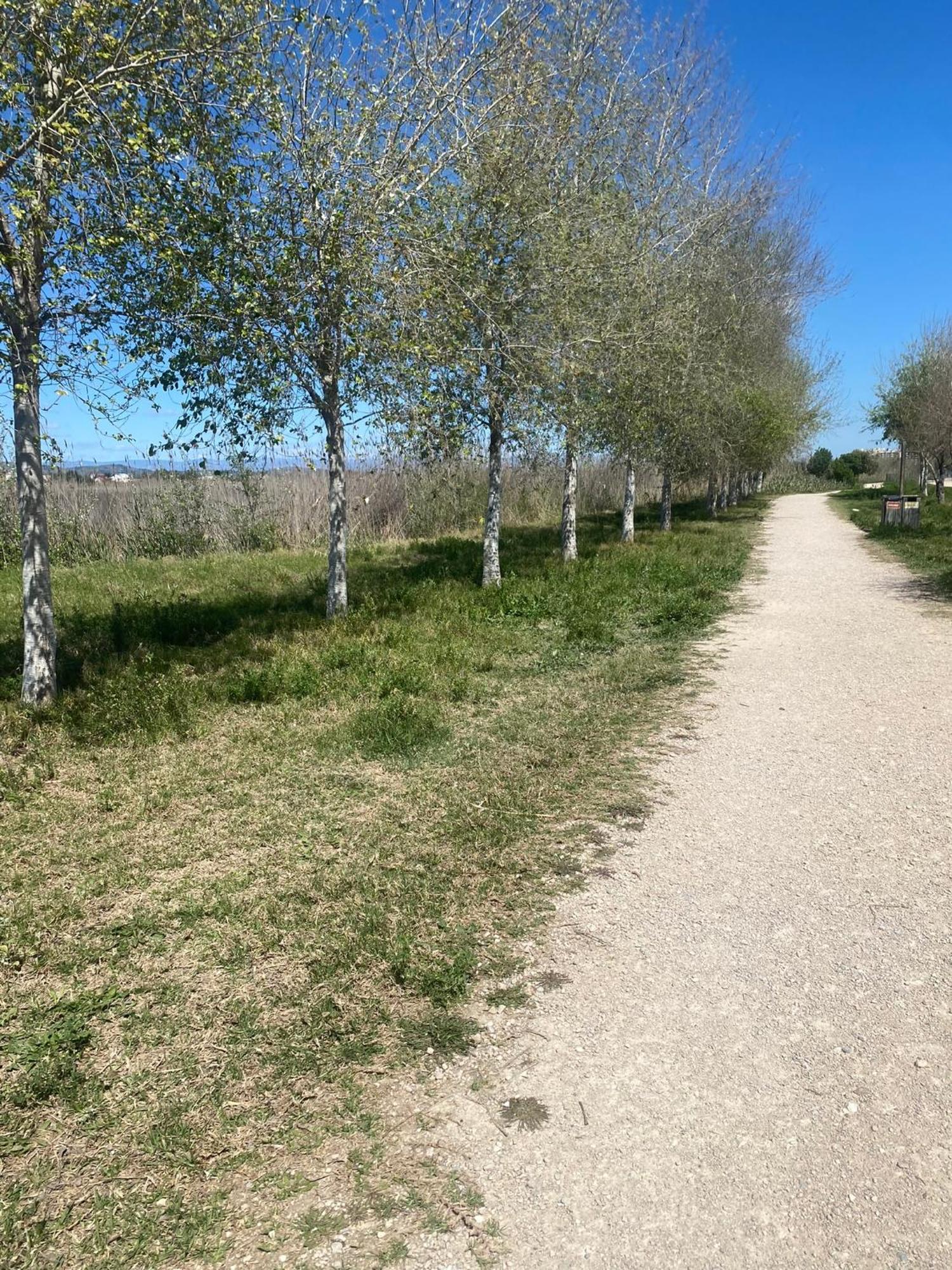 Alquiler Vacacional Apartment Peniscola Bagian luar foto